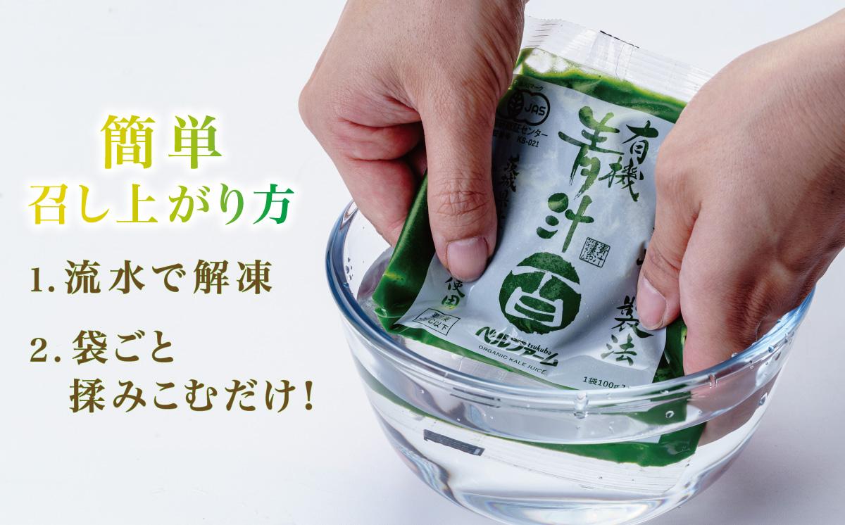 青汁シークワーサー入り 100g × 30 パック 【 12ヵ月定期便 】＜離島・沖縄配送不可＞【 茨城県 つくば市 飲料 ドリンク あおじる 青汁 健康  無添加 有機ケール オーガニックケール 】