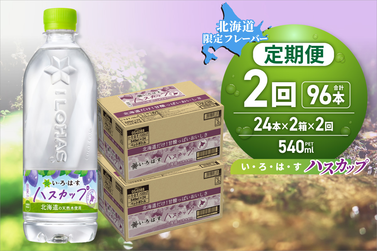 【２ヶ月定期便】い・ろ・は・す ハスカップ　540mlPET×48本｜コカ・コーラ 飲料 ドリンク 飲み物 水 いろはす 北海道 札幌市