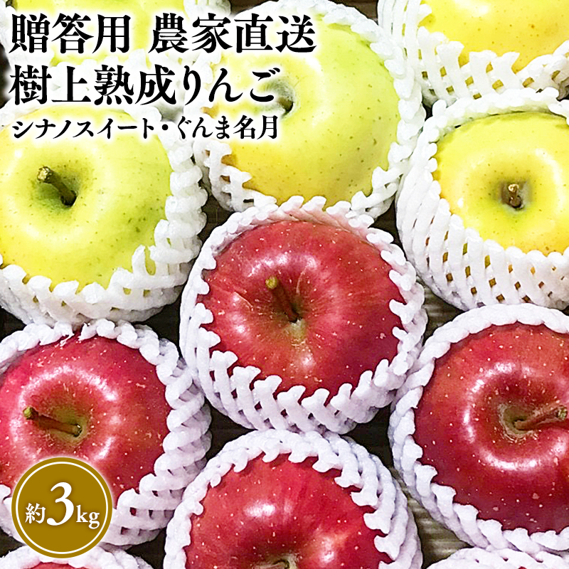 【10～11月発送】贈答用 農家直送 樹上熟成りんご シナノスイート・ぐんま名月 約3kg【平川市産・青森りんご】【hi-0033-001】