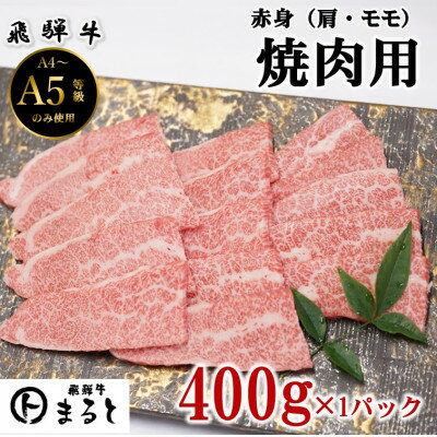 【ふるさと納税】【飛騨牛】赤身焼肉　(400g/500g/600g/900g/1.2kg/1.5kg)【配送不可地域：離島】【G1726919】