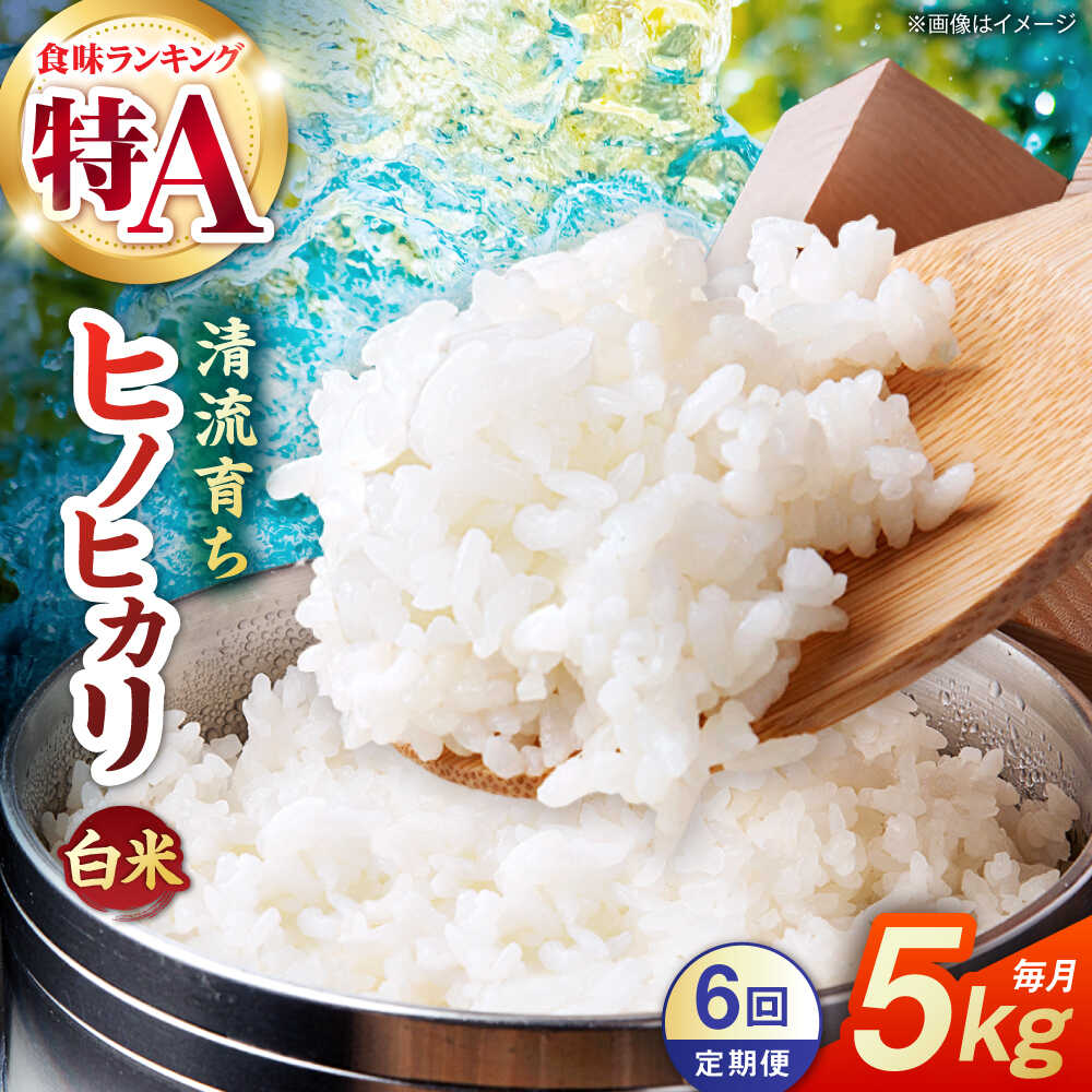 【ふるさと納税】【先行予約】【6回定期便】山鹿市産 ヒノヒカリ 白米 5kg 【奥村果実園】[ZFK013]