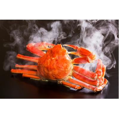 ふるさと納税 琴浦町 『鳥取の冬の味覚の王者』(ボイル)松葉がに　2枚　【年内配送】 |  | 01