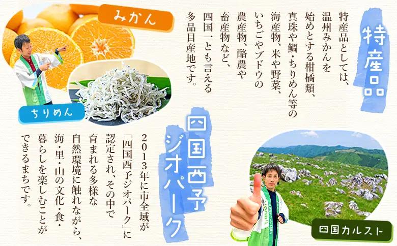 ＜西予の美味しいぶどう セレクトセット／おまかせ 約2kg＞ 果物 くだもの フルーツ ぶどう 葡萄 ブドウ セット 詰め合わせ つめあわせ 食べ比べ お楽しみ おまかせ 野菜ソムリエ 食べて応援 特