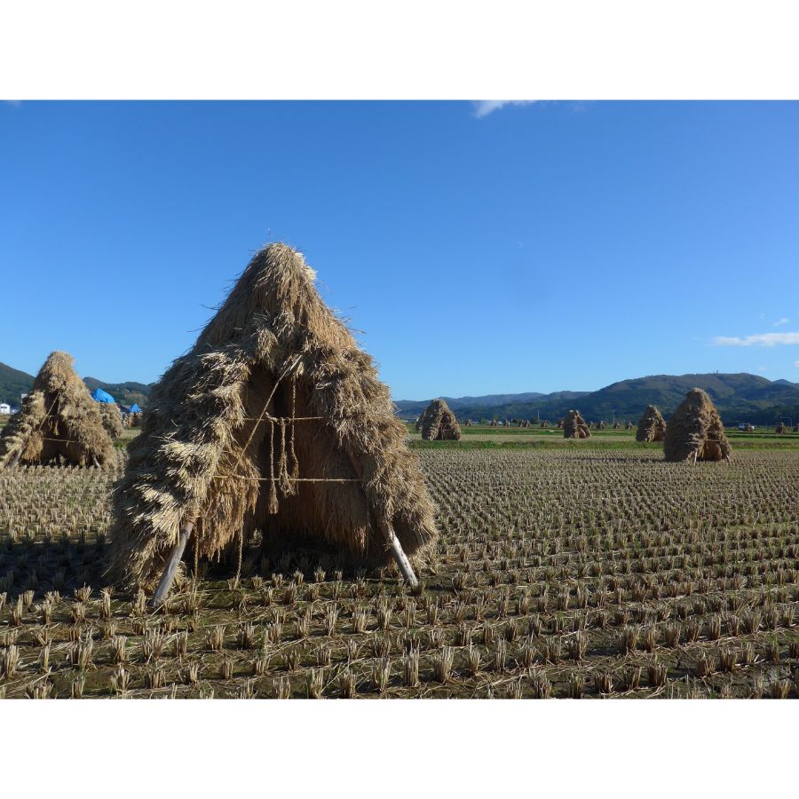 ＜京谷農園＞自然乾燥米ななつぼし10kg（5kg×2）