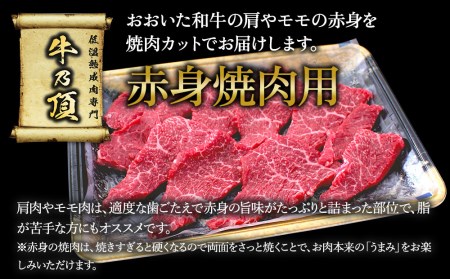 おおいた和牛 赤身焼肉セット3種(特選赤身250g  赤身300g 赤身カルビ250g)牛肉 和牛 ブランド牛カルビ 赤身肉 焼き肉 焼肉 バーベキュー 大分県産 九州産 津久見市 国産