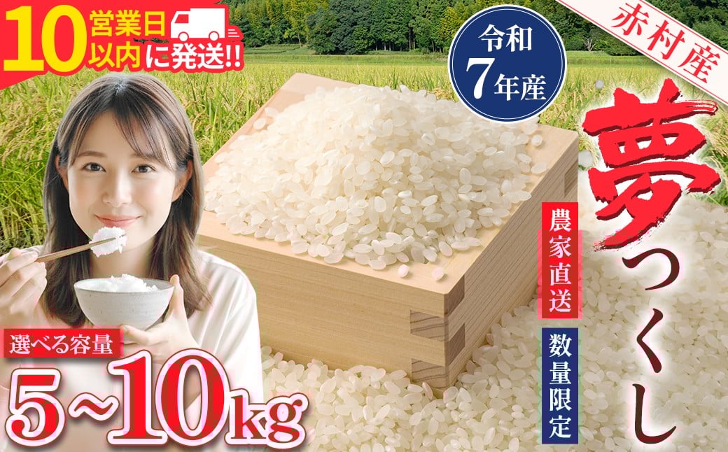 
                  【10営業日以内に発送】赤村産米 農家直送 【数量限定】 精米 夢つくし 5kg～10kg (品番:4U1-S～4U2-oya) 
                