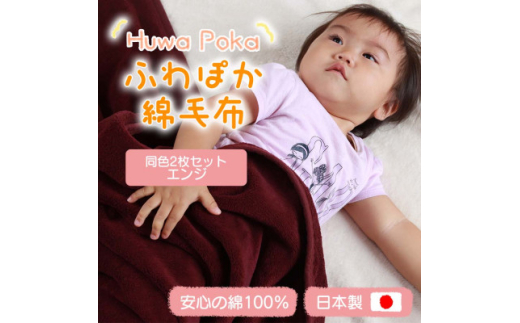＜同色2枚セット＞ふわぽか 綿毛布 エンジ 100×140cm 日本製 綿100% 毛布【1607530】