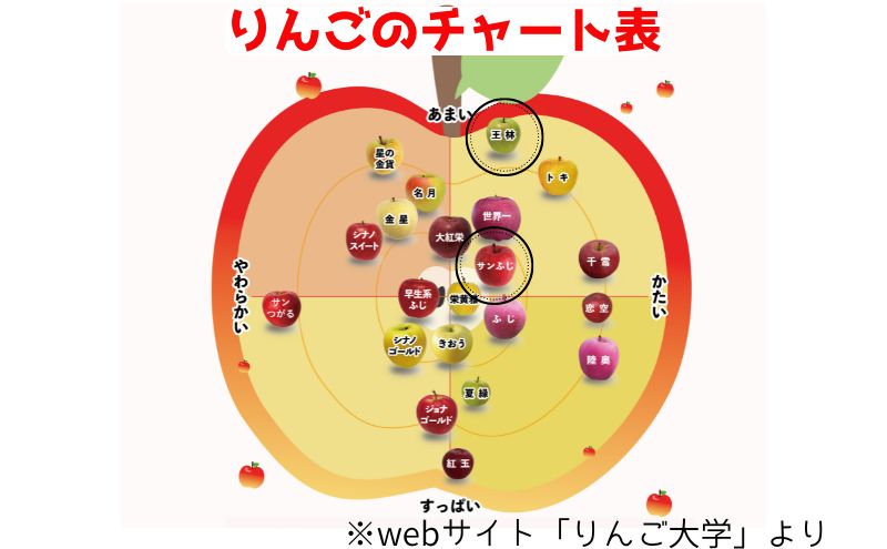 りんご 【 3月発送 】 贈答用 サンふじ ・ 王林 詰め合わせ 約 10kg 【 弘前市産 青森りんご 】