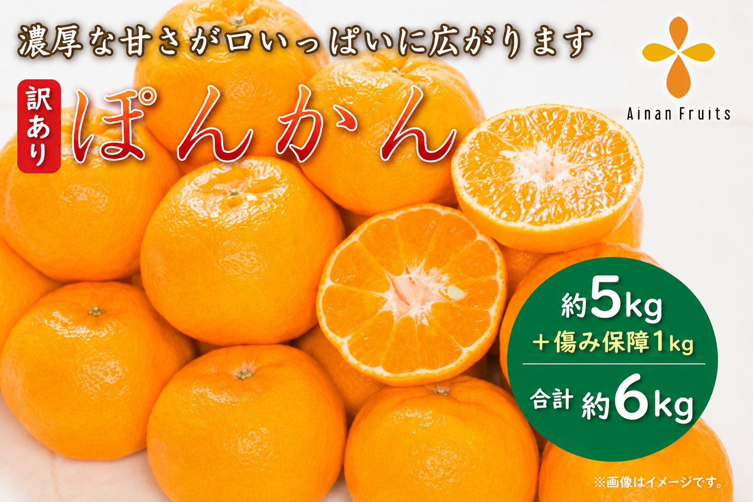 
                  【先行予約：2027年1月中旬～なくなり次第終了】 訳あり 減農薬 ポンカン 約5kg+傷み保障1kg 合計約6kg 8000円 サイズミックス サイズ混合 不揃い 傷 新鮮 蜜柑 愛媛 みかん 産地 産直 ぽんかん みかん 柑橘 果物 フルーツ 果実 ジューシー 甘い 国産 愛南フルーツ 愛媛県 愛南町
                