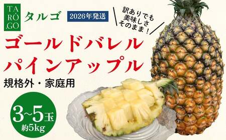 パイナップル ゴールドバレル TARUGO 約5kg（3～5玉） 家庭用