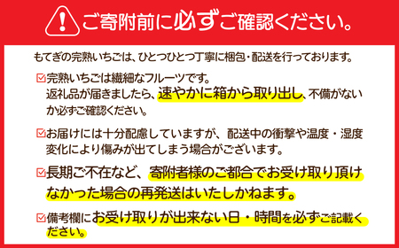 いちご【2月以降発送】朝採れとちおとめ 大粒 約270g × 4パック 合計 約1080g |イチゴ いちご