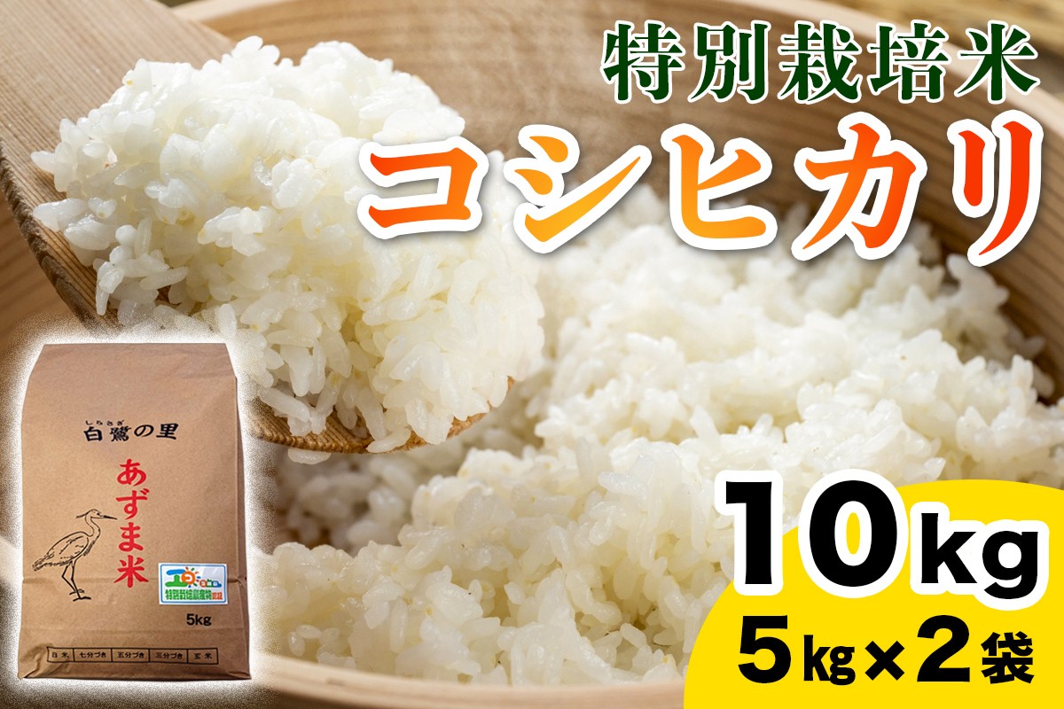 
                  【令和7年産】特別栽培米 コシヒカリ 10kg (5kg×2袋)｜産地 直送 白鷺の里 あずま米 こしひかり 茨城県 稲敷市 [1907]
                