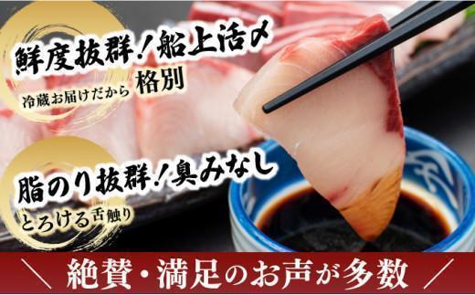 KU281-1＜2026年4月発送分＞活じめ！黒瀬ぶりの生鮮ブリロイン2節～3節（400g前後）