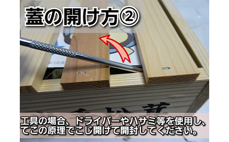 ≪2025年先行予約 9月中旬～10月下旬発送予定！≫三陸山田産 高級松茸 1本入り【ベルアクト】 秋の味覚 三陸山田産松茸 三陸山田 山田町 まつたけ マツタケ 野菜 山田産野菜 YD-895