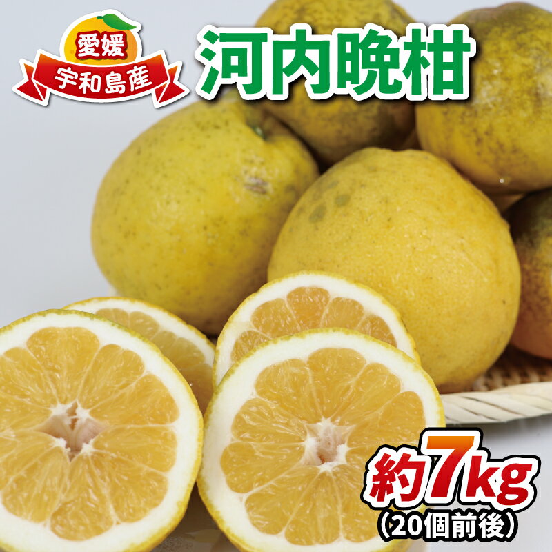 【ふるさと納税】 河内晩柑 有機肥料栽培 7kg 20個前後 ほんとのみかん清家農園 晩柑 かわちばんかん 和製 グレープフルーツ 果物 くだもの フルーツ 柑橘 みかん 蜜柑 愛媛ミカン 愛媛蜜柑 愛媛みかん 農家直送 産地直送 数量限定 国産 愛媛 宇和島 B016-040003