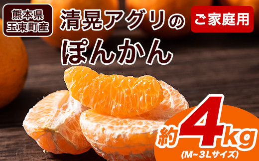 
                  『清晃アグリ』のご家庭用ポンカン 約4kg(M-3Lサイズ)《12月中旬-1月中旬頃出荷》予約受付中 フルーツ 秋 旬 少し青くても甘くてジューシー♪熊本県玉名郡玉東町『清晃アグリ』ポンカン ぽんかん
                