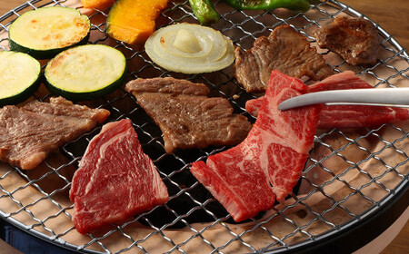 ＜ R8年熊本地震復興支援 ＞あか牛 焼き肉用 カット （バラ、ロース） 約500g 熊本 牛肉 国産 国産牛 赤牛