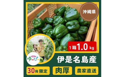 【30箱限定】伊是名島の若手農家が生産するもぎたてピーマン「ゆ～ぴ～」1kg