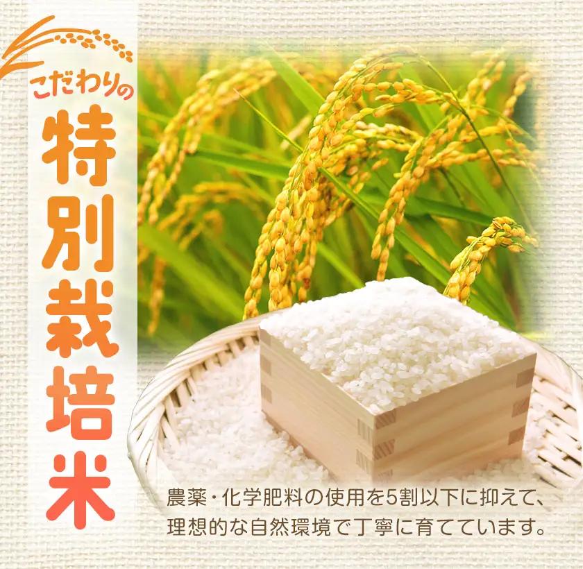 令和7年産 特別栽培米 おぼろづき＆ななつぼし 各5kg 計10kg 食べ比べセット 北海道