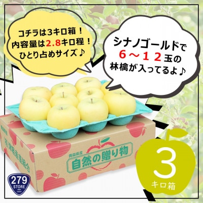 りんご シナノゴールド 4月から順次発送 A品 2.8kg (6～12玉)CA貯蔵 津軽産直組合直送【配送不可地域：離島】
