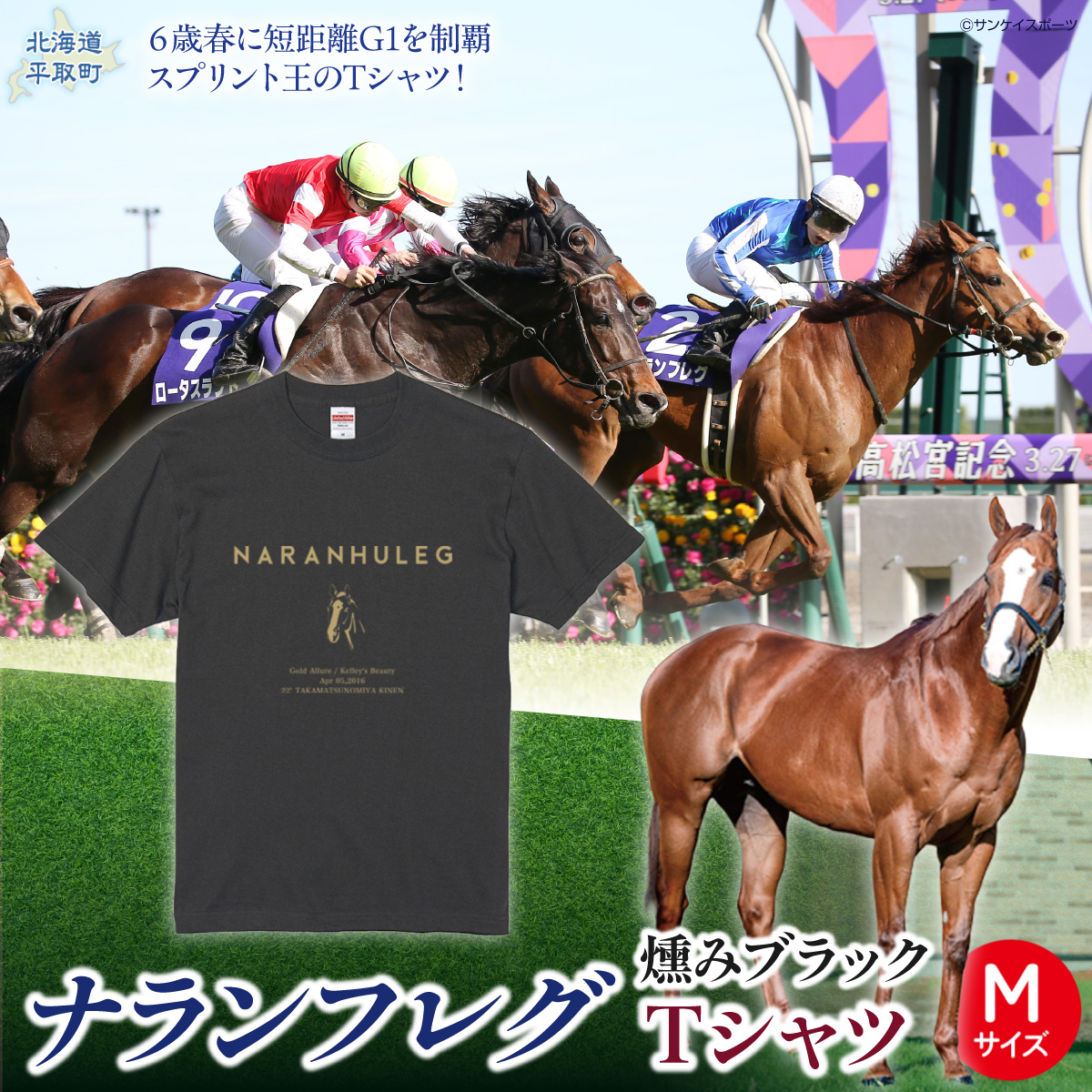 【ナランフレグ】（燻みブラック）Ｔシャツ 選べる３サイズ【М】 BRTV350-1