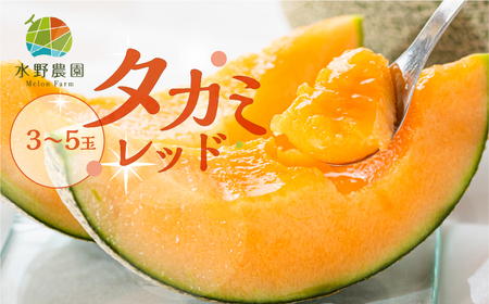 《先行予約》タカミレッド 5kg 3-5玉 メロン 水野農園