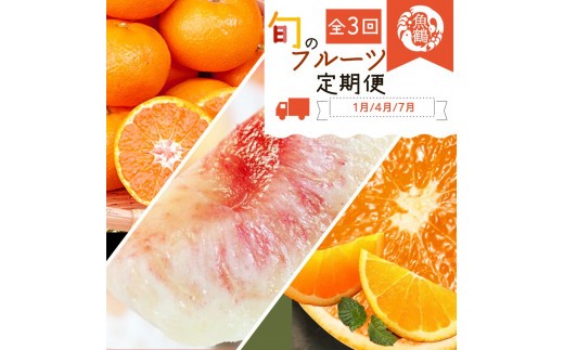 
【全3回】紀州和歌山産旬のフルーツ定期便 (みかん・清見オレンジ・桃)【tkb381】
