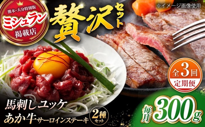 
            【全3回定期便】くまもとあか牛サーロインステーキと厳選馬刺しユッケ贅沢セット 計約300g【有限会社 スイートサプライなかぞの】 [ZBV094]
          