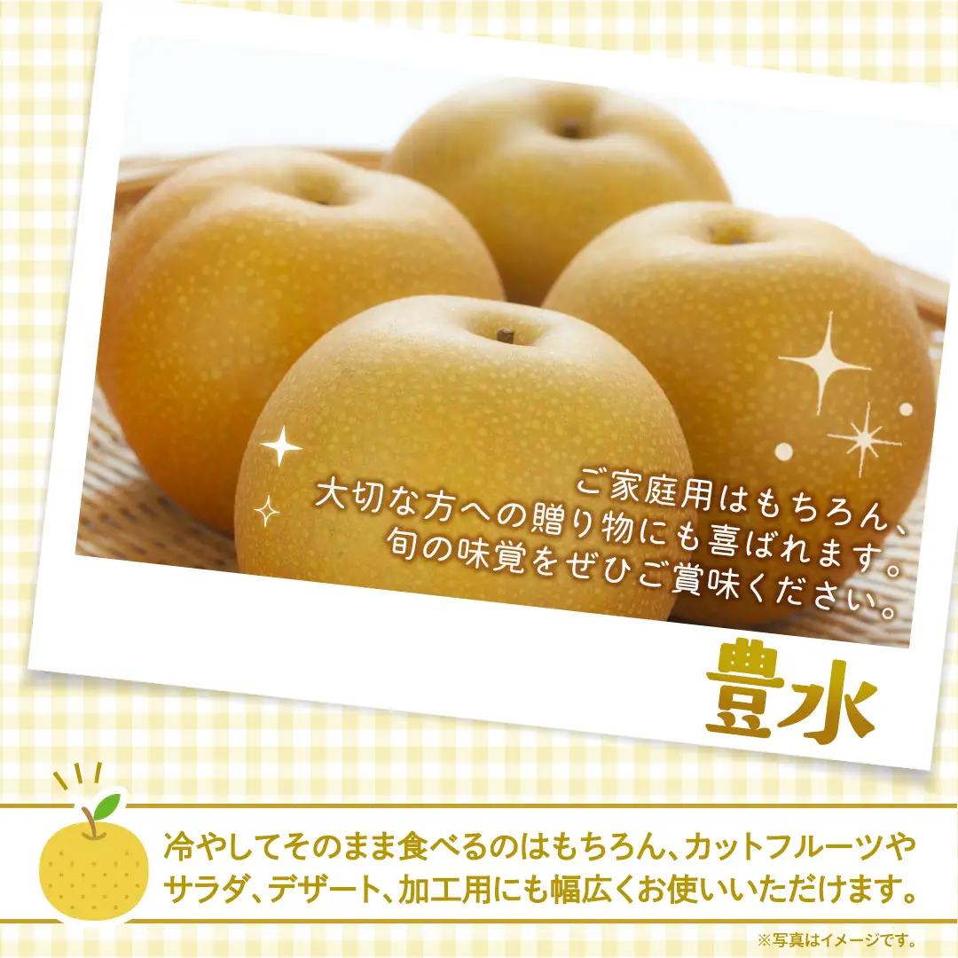 豊水 梨 約3kg 【2026年9月より発送開始】（茨城県共通返礼品 [梨]：大子町産）