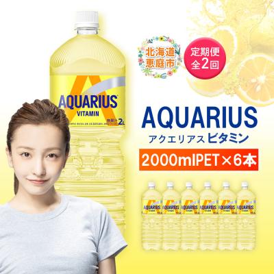 ふるさと納税 恵庭市 【定期便:全2回】アクエリアス ビタミン 2LPET×6本【38008601】