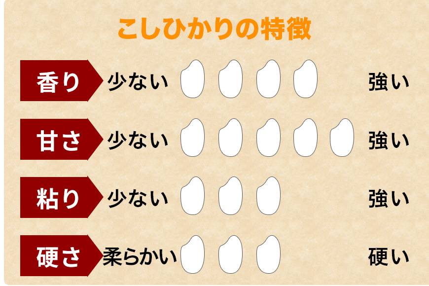令和7年度 笠間産 コシヒカリ 5kg 精米 米 白米 こめ コメ ご飯 ごはん 農家直送 産地直送 国産 茨城県 笠間市 青木商店 【8月末まで受付】