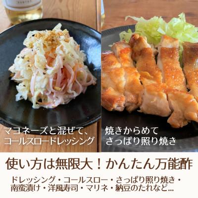 ふるさと納税 山梨市 【簡単・時短おうちごはん応援!】ピクルスワインビネガー5本セット〈自社醸造ワインビネガー使用〉 |  | 02