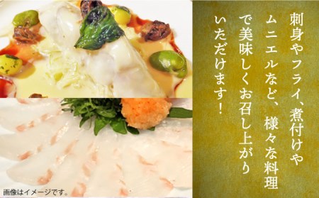 壱岐産 ヒラメフィレ 450gから500g [JDT007]