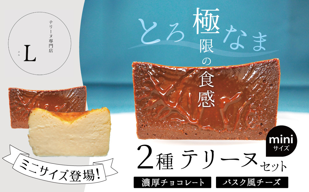 
            ミニサイズ濃厚チョコレート・バスク風チーズ2種のテリーヌセット【グルテンフリー・保存料不使用】 スイーツ H173-012
          