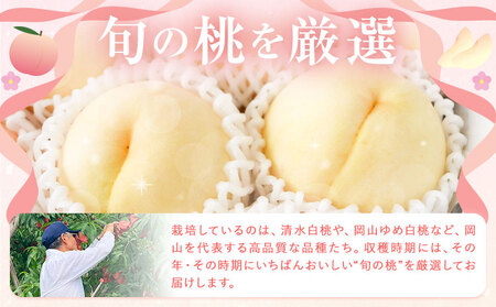桃 贈答用 no.2 約2kg 6~9玉 川中島白桃や紅清水など 小寺壽夫
