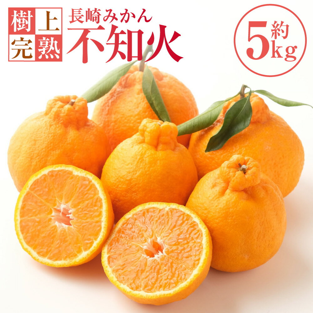 【ふるさと納税】【樹上完熟】長崎みかん 不知火 約5kg みかん ミカン 蜜柑 柑橘類 かんきつ フルーツ くだもの 果物 果実 デザート 長崎県産 国産 九州 長崎県 長崎市 送料無料 【2026年2月上旬～4月下旬発送予定】