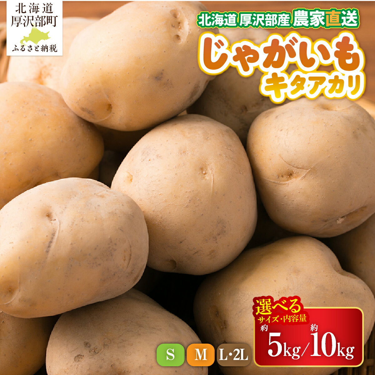 【ふるさと納税】【先行予約 令和8年9月発送】北海道厚沢部町産 キタアカリ 選べる 約5kg～10kg Sサイズ Mサイズ L・2Lサイズ じゃがいも ジャガイモ あっさぶ・ささき直売所 産地直送