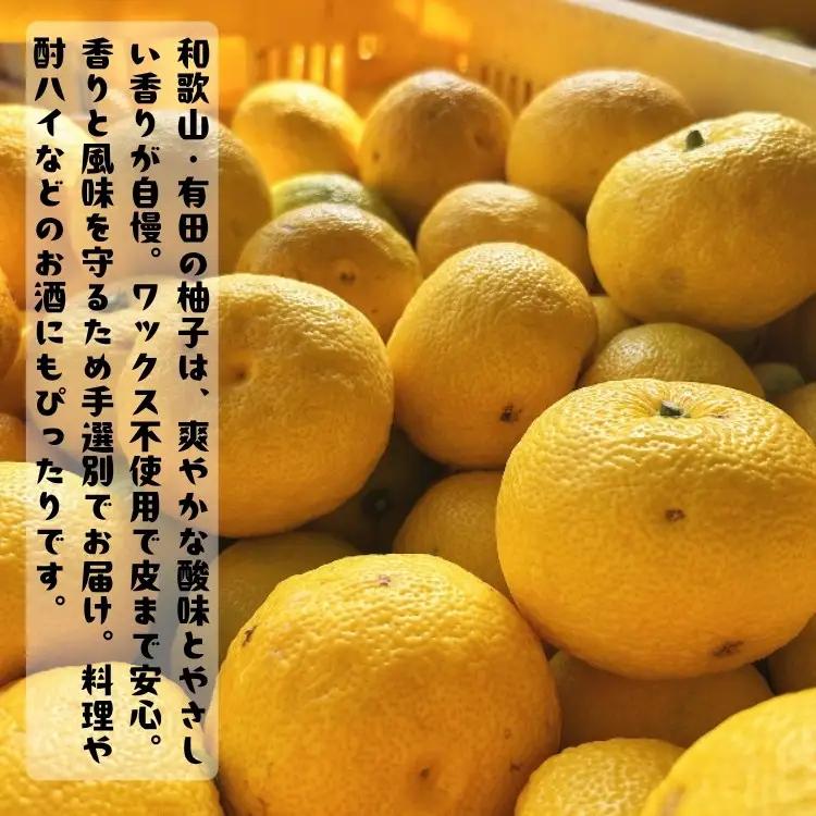 ［先行予約］［国産］紀州和歌山のご家庭用訳あり 柚子（ゆず）1kg ［MS137］