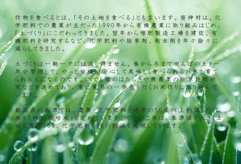 【令和8年産新米予約】【3か月定期便】コシヒカリ「やまびこ米」2kg×3回 10月中旬より順次発送予定 1P07021