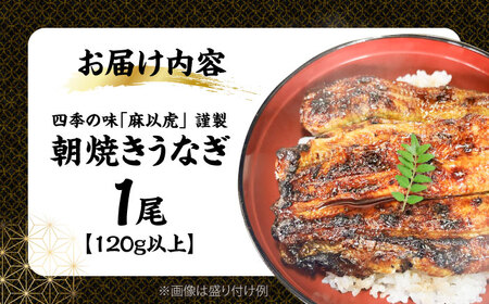 日本料理店「麻以虎」特製　朝焼きうなぎ　カット蒲焼 1尾 《豊前市》【四季の味　麻以虎】[VBX009]