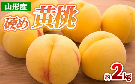 山形産 硬め 黄桃 約2kg(4～9玉) 【令和7年産先行予約】FS24-707