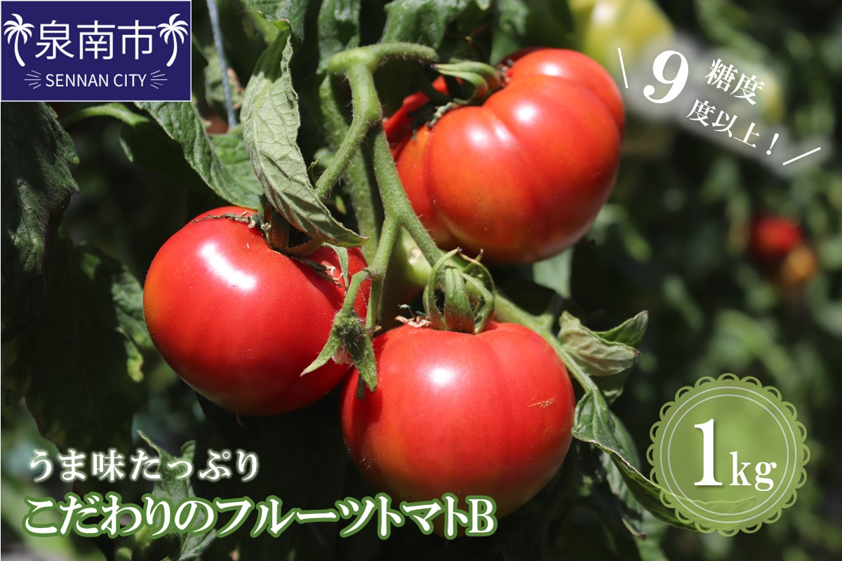 【糖度9度以上】うま味たっぷり こだわりのフルーツトマトB 1kg【配送不可地域：北海道・沖縄・離島】【093E-001】