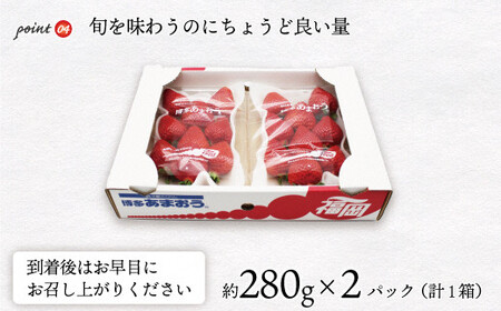 博多あまおう2パック【2024年3月中旬より順次発送】約560g[E2211a]
