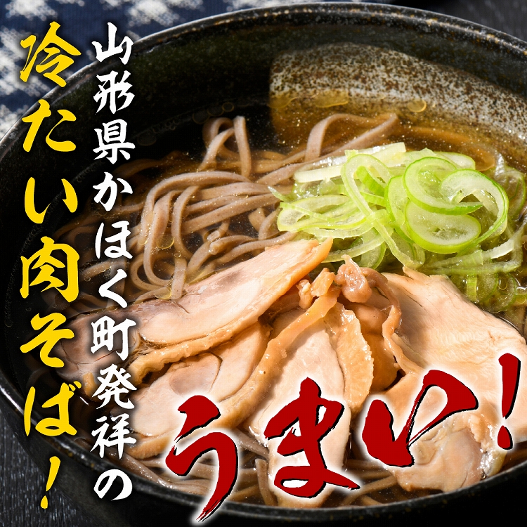 かほく冷たい肉そば１０食セット