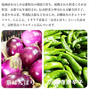 旬の京野菜 スペシャルコース※沖縄・離島・諸島へのお届け不可 ≪京都 丹波 野菜 野菜 ふるさと納税野菜 野菜詰め合わせ 野菜セット 厳選野菜 旬野菜 京都府亀岡市産野菜 京都府野菜 京都産野菜 亀岡