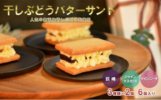 
干しぶどうバターサンド6個入（3種類×2個）[№5229-0724]
