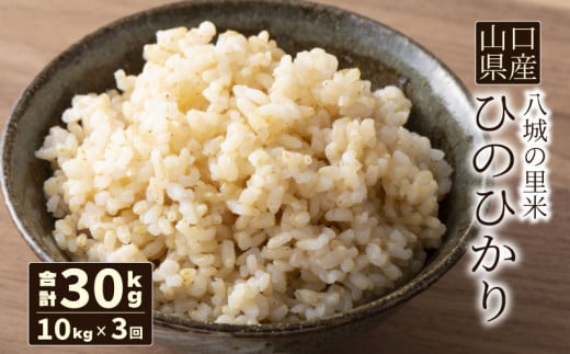 【先行予約】【定期便 3ヶ月】ひのひかり 玄米 10kg  合計30kg 令和7年度米