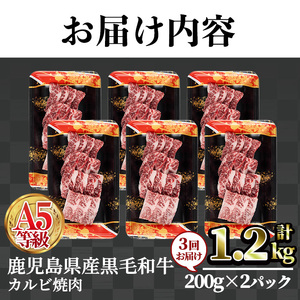 A5等級 鹿児島県産 黒毛和牛 カルビ 焼肉 (計1.2kg・200g×2パック×3回) 【LRプラスK】T44