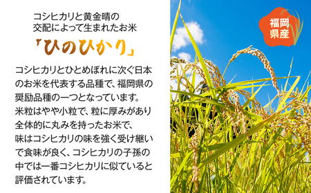 【令和5年産】 福岡県 大木町産 ヒノヒカリ 10kg　BC01