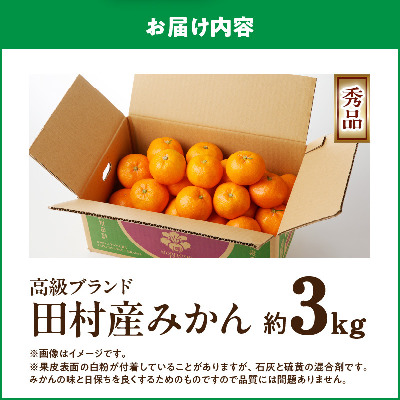 G7339_【2025年 先行予約】高級ブランド 秀品 紀州有田田村産みかん 3kg_イメージ5
